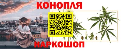 мдпв Аргун