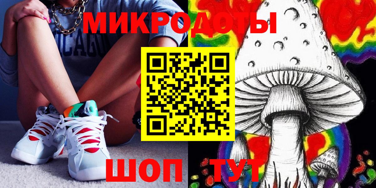 Галлюциногенные грибы Psilocybine cubensis Великий Устюг