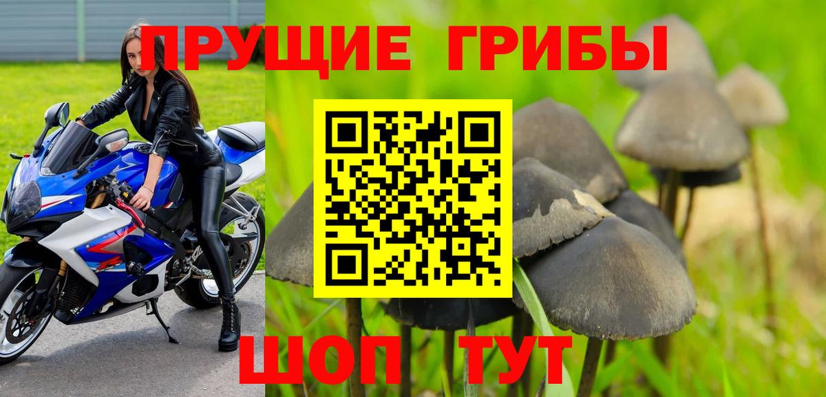 Галлюциногенные грибы Psilocybine cubensis  Вход с VPN  Великий Устюг  Псилоцибиновые грибы Psilocybe 